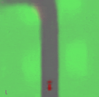 An agent driving inside of the environment simulated by the world model